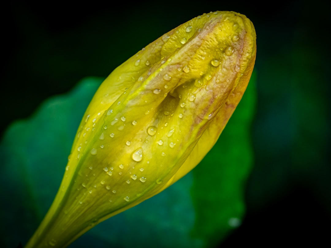 건강/의료 정보