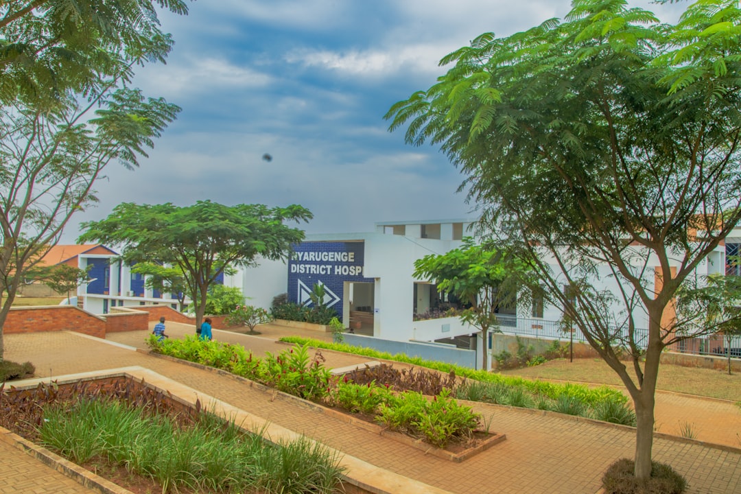 건강/의료 정보