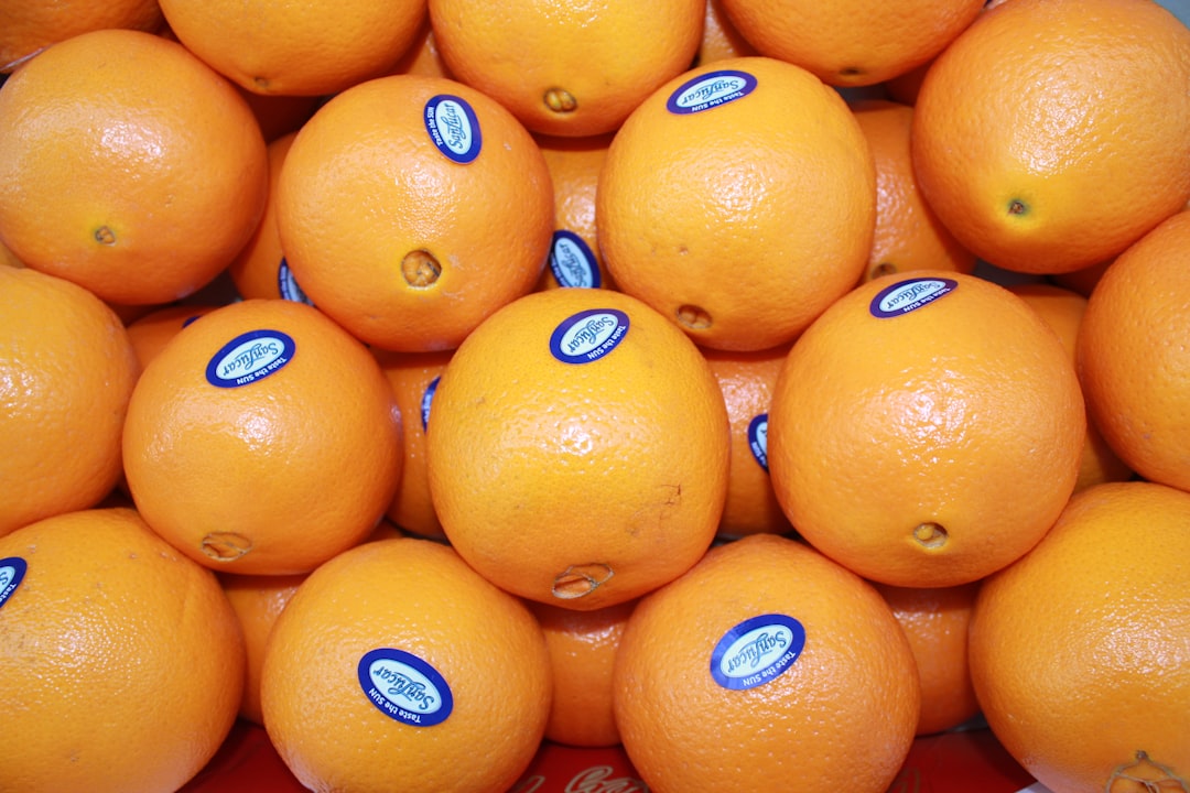 건강/의료 정보