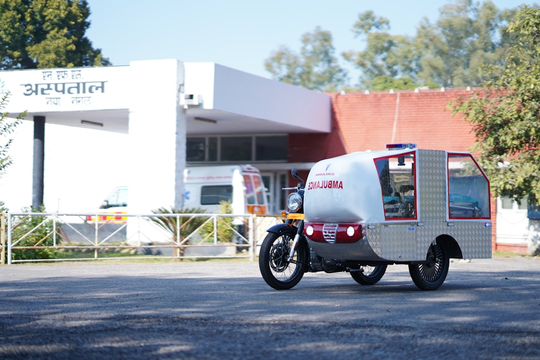 치매 예방 방법 가이드