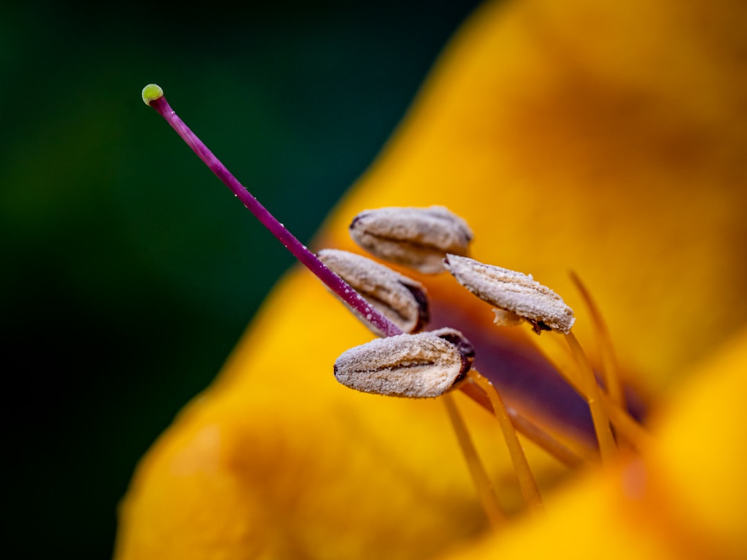 갑상선 질환 증상 가이드