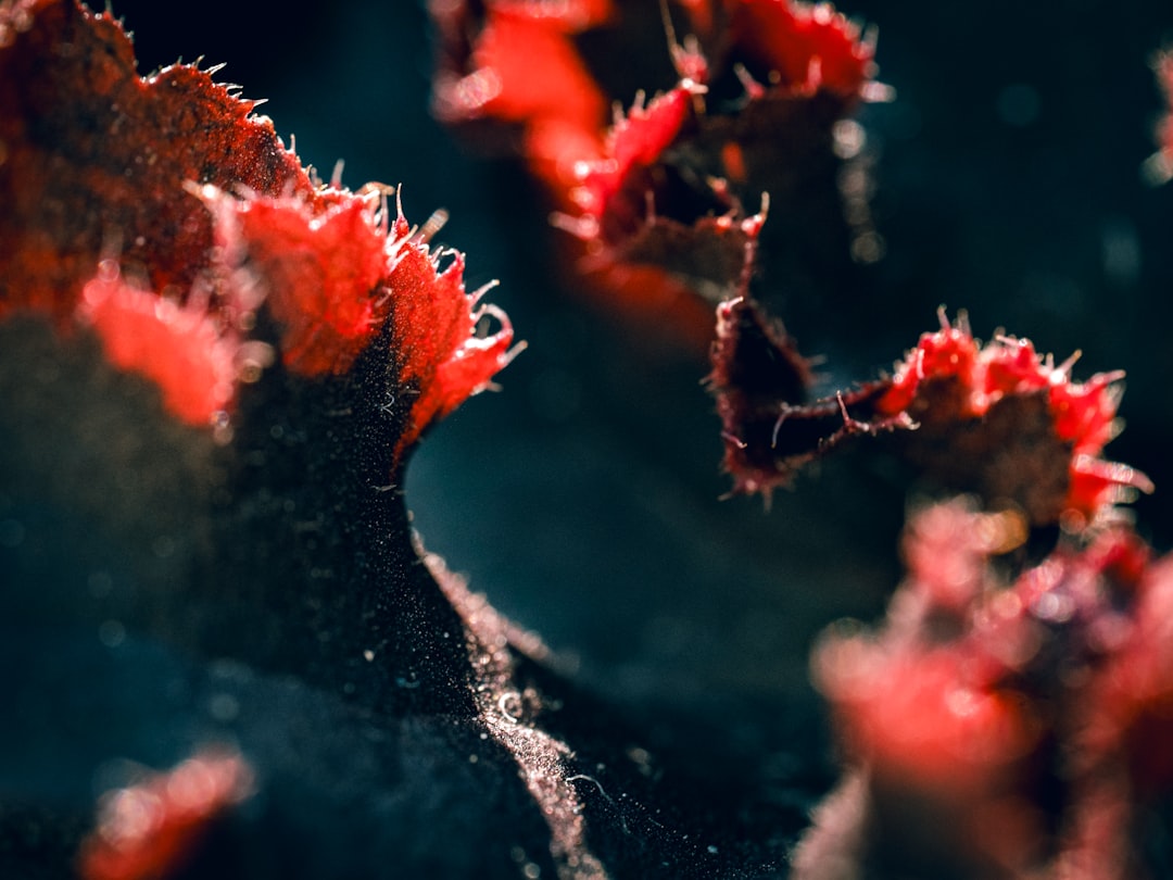 갱년기 증상 완화 가이드