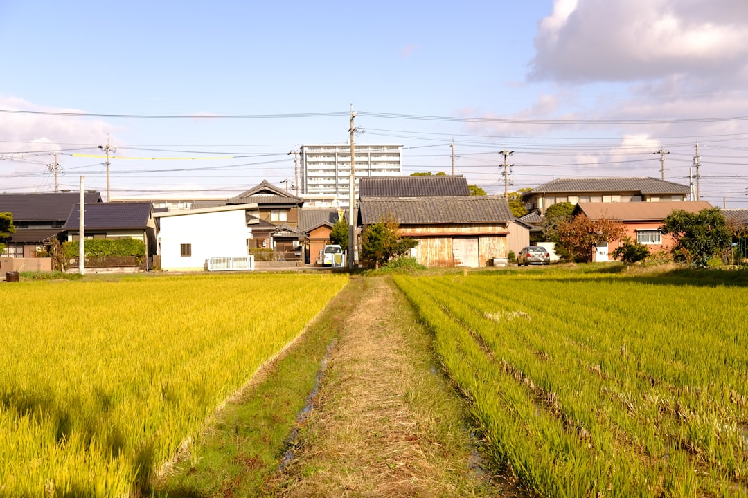 갑상선 질환 증상 가이드